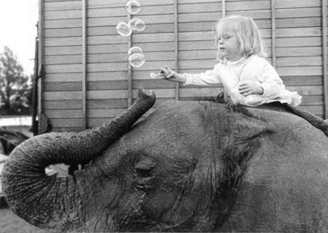 Lovely Photos of Little Girl and Her Best Friend Elephant, 1980s