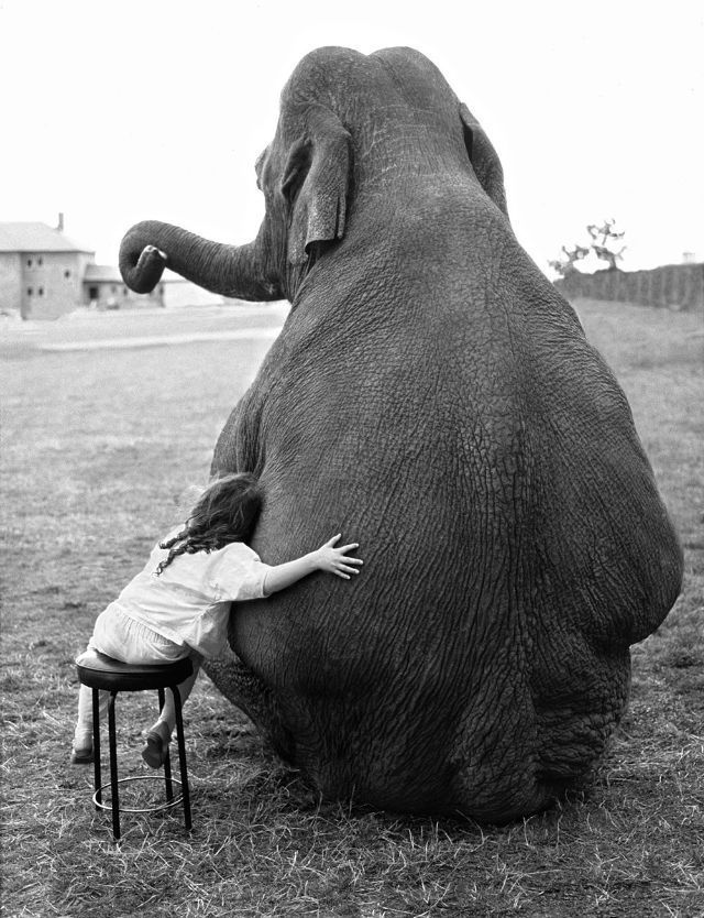 Lovely Photos of Little Girl and Her Best Friend Elephant, 1980s