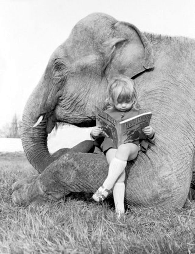 Lovely Photos of Little Girl and Her Best Friend Elephant, 1980s