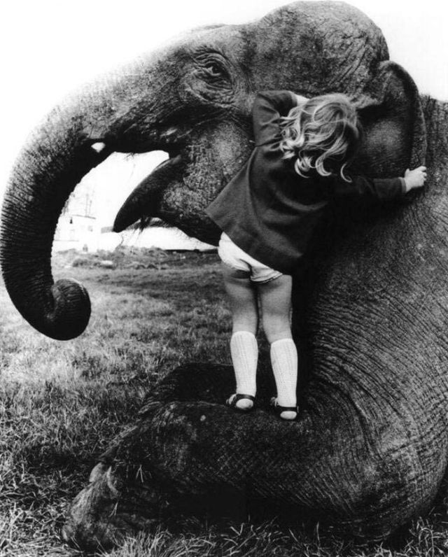 Lovely Photos of Little Girl and Her Best Friend Elephant, 1980s