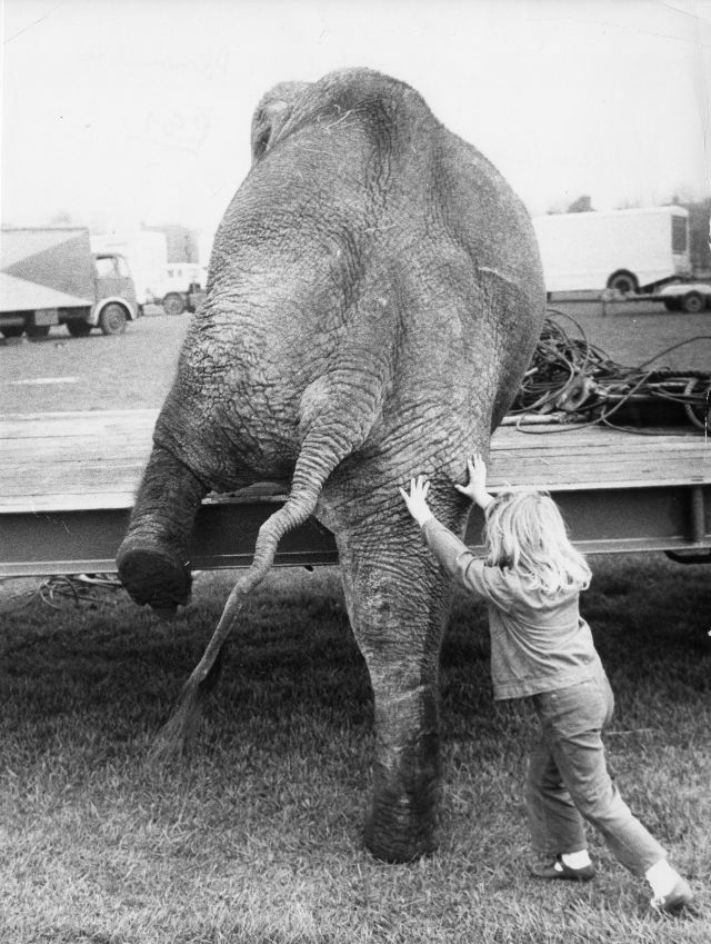 Lovely Photos of Little Girl and Her Best Friend Elephant, 1980s