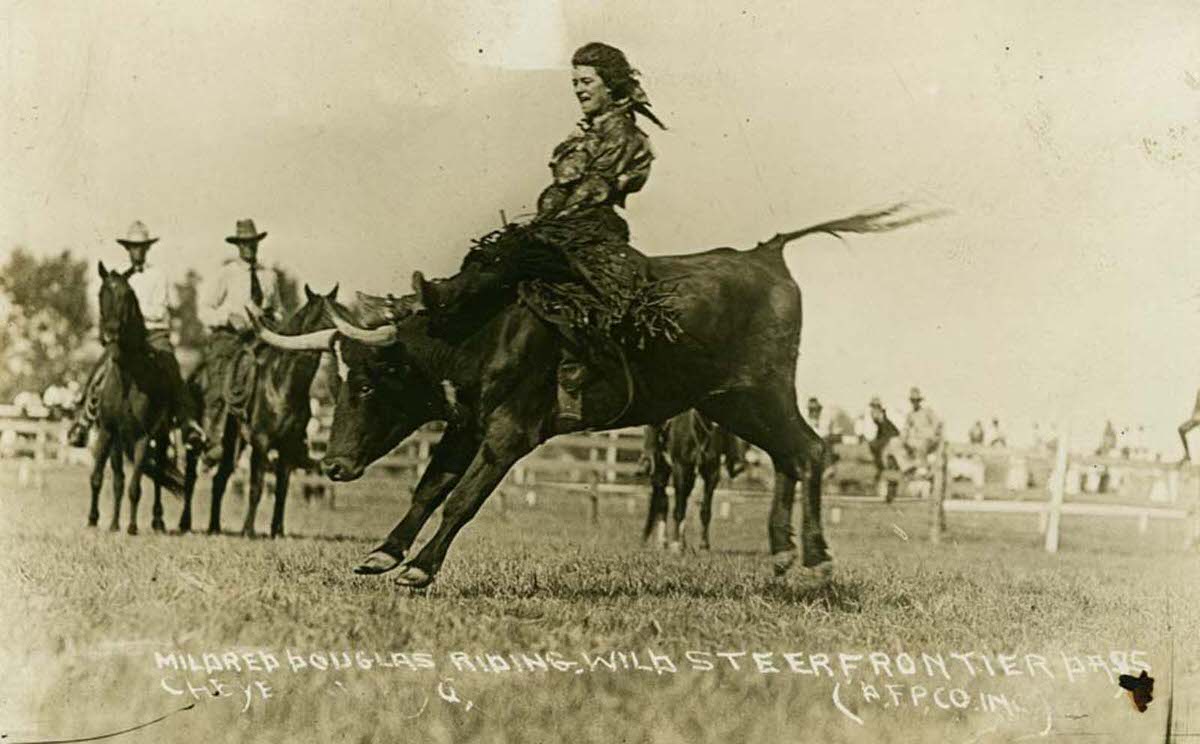 Mildred Douglas riding wild steer, Cheyenne, Wyoming, c.1917.