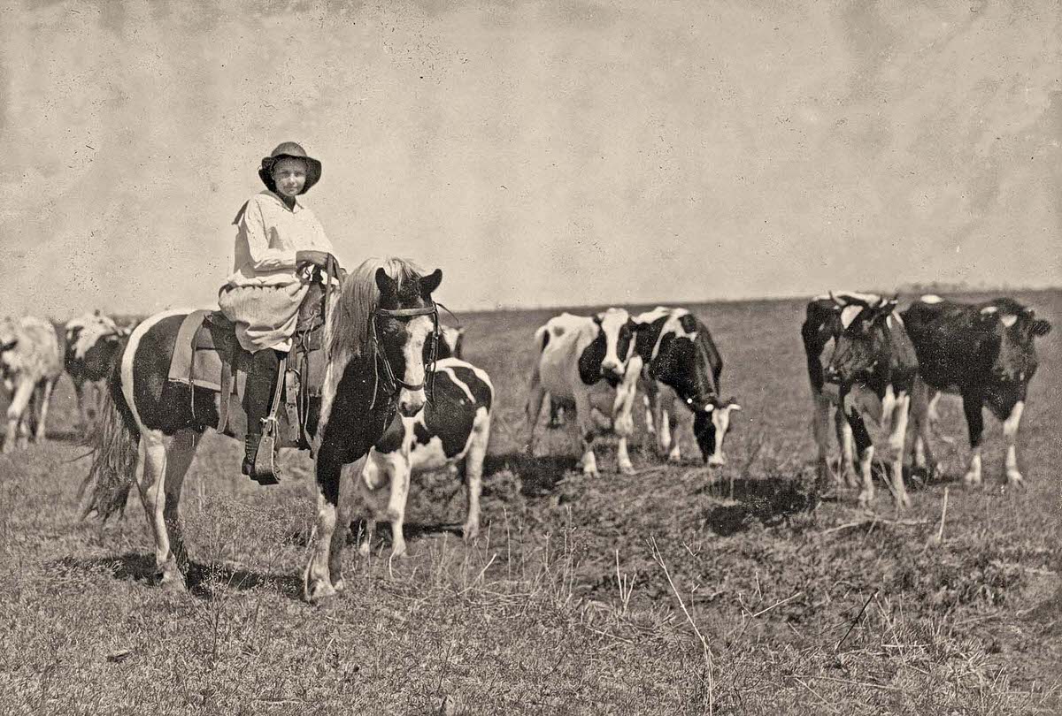 Sarah Crutcher, a 12-years-old cowgirl, herding cattle.
