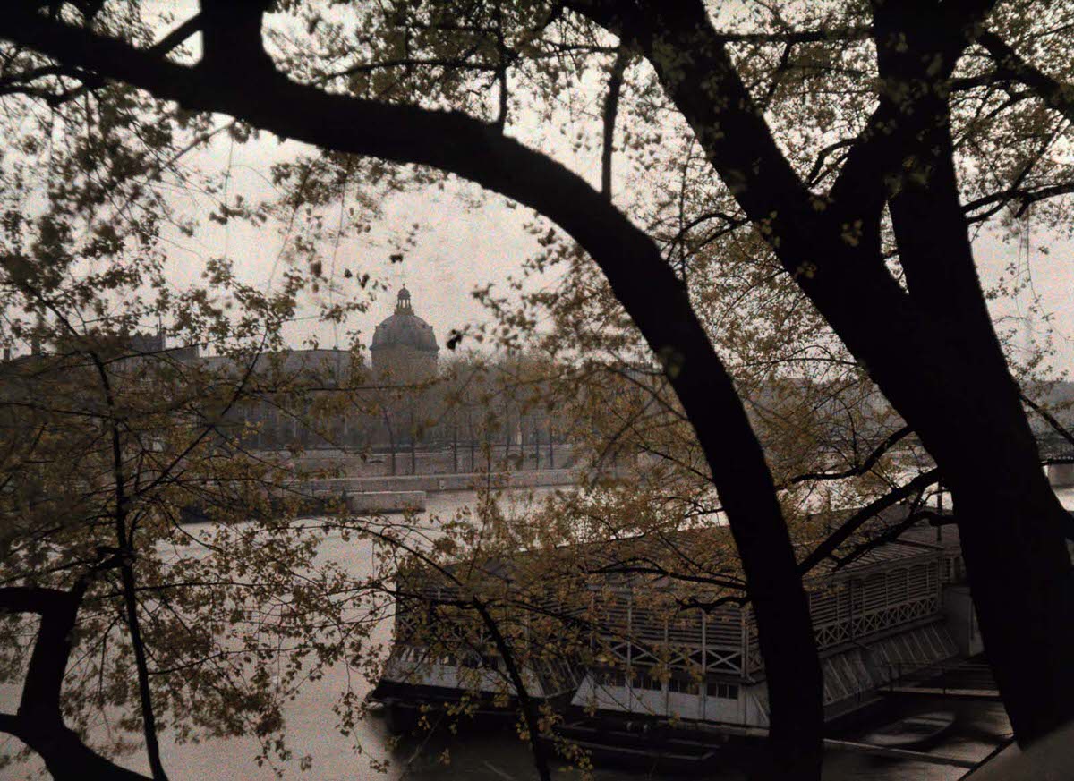 A view through trees across the Seine.