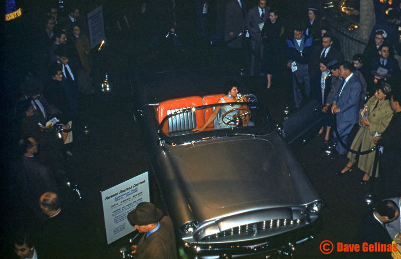 Packard Panther Daytona 1954