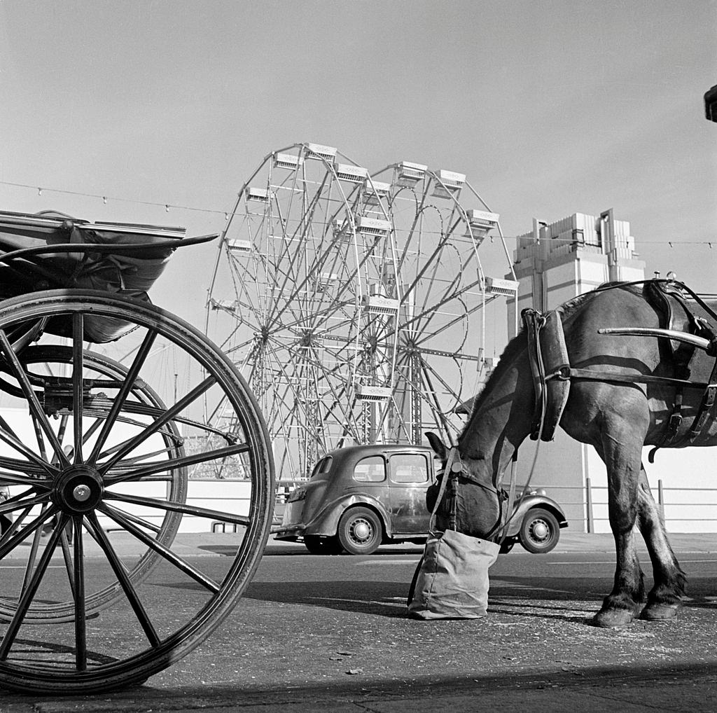 Blackpool Pleasure Beach is one of the most popular attractions in England, 1955.