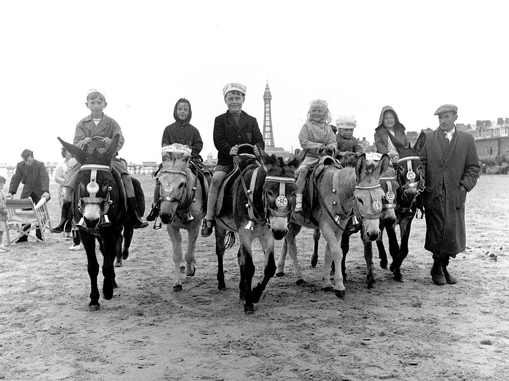 Children riding donkeys along the beach at Blackpool 5th August 1958.