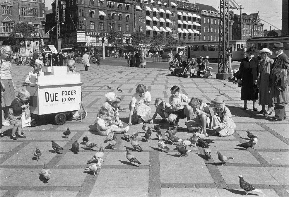 Feeding the pigeons