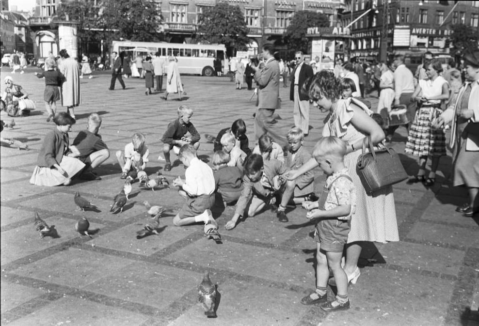 Feeding the pigeons