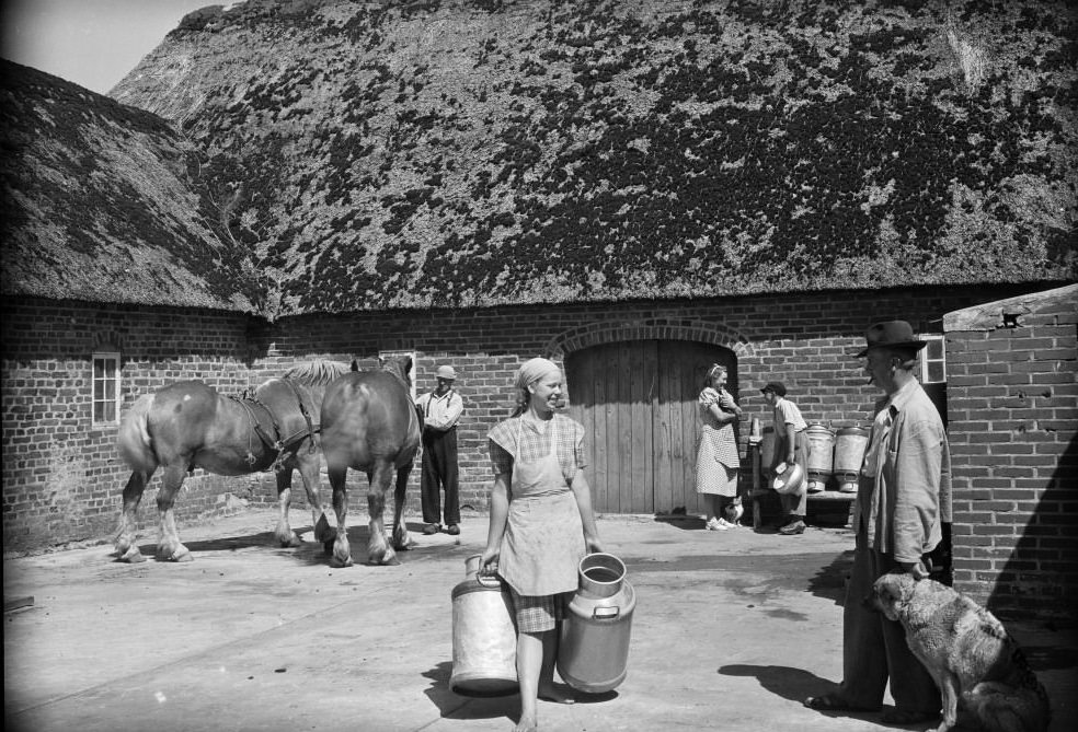 People and animals on a farm