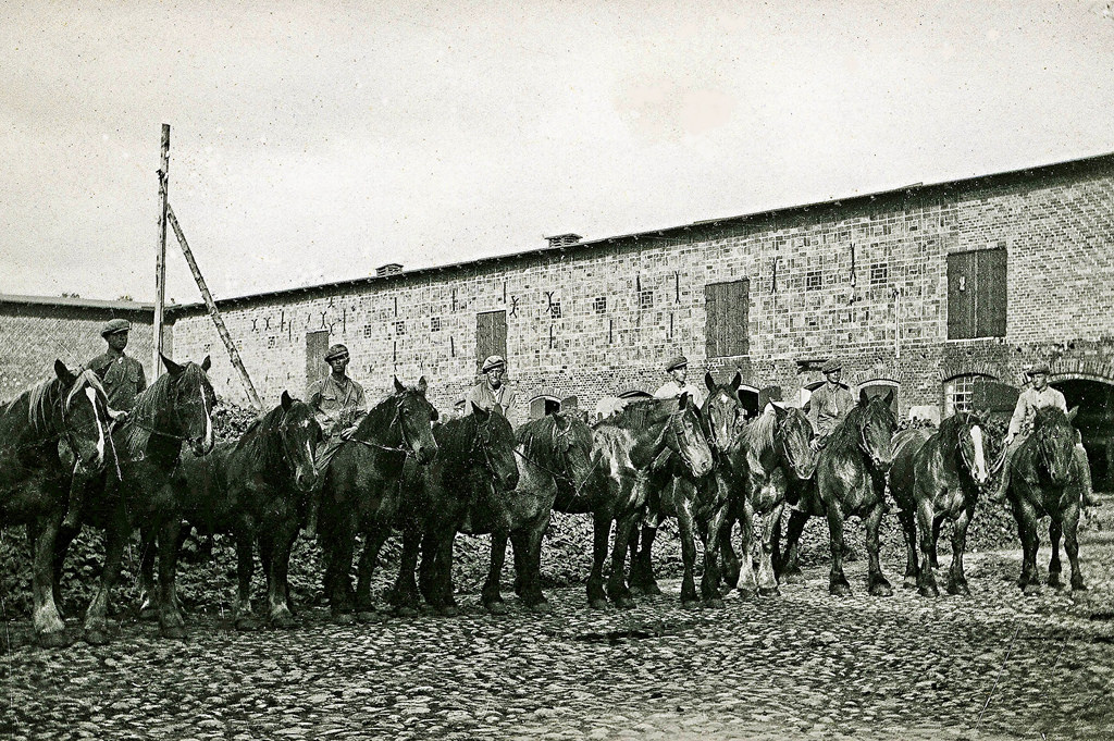 Farmhands in Denmark in 1937