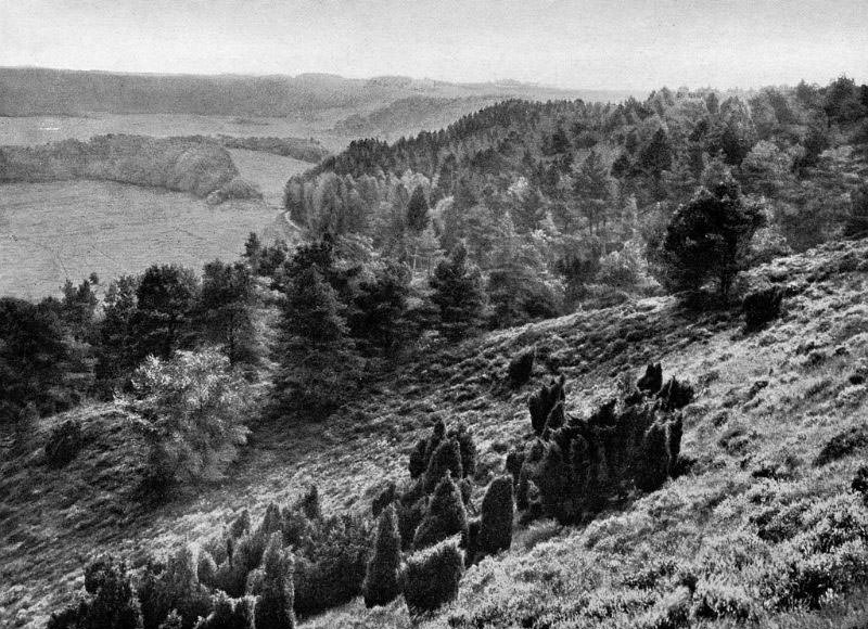Dollrup Bakker, Midtjylland