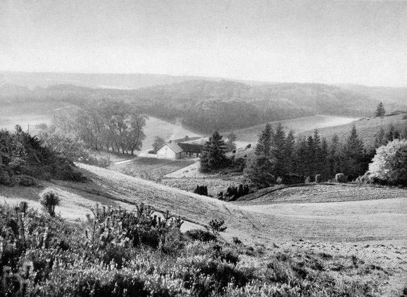 Rye Sønderskov, Midtjylland