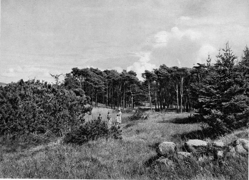 Ordrup Næs, Vestsjælland