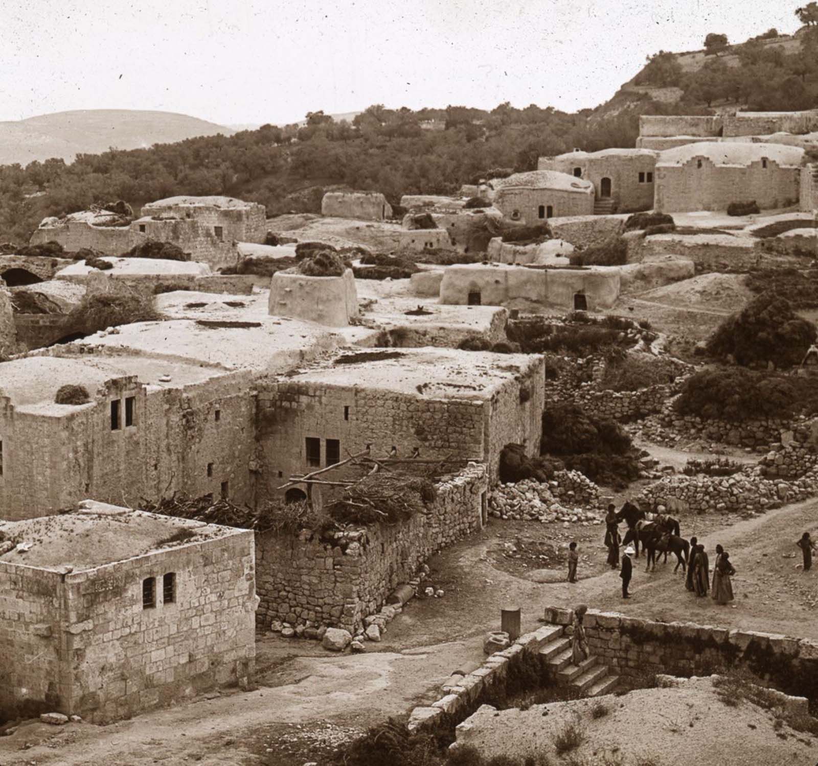 Samaria from the minaret of the mosque.