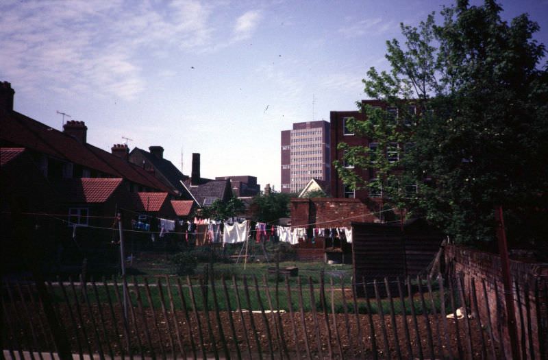 Looking north to The Civic Centre from Gt Gipping St over the back gardens in Little Gipping St