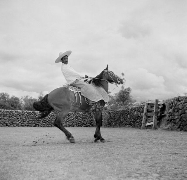 A rancher rides his horse on a ranch in Michoacan.