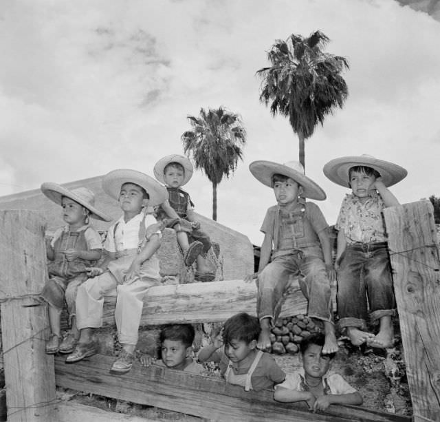 Little boys sit on the fence at a ranch in Michoacan.