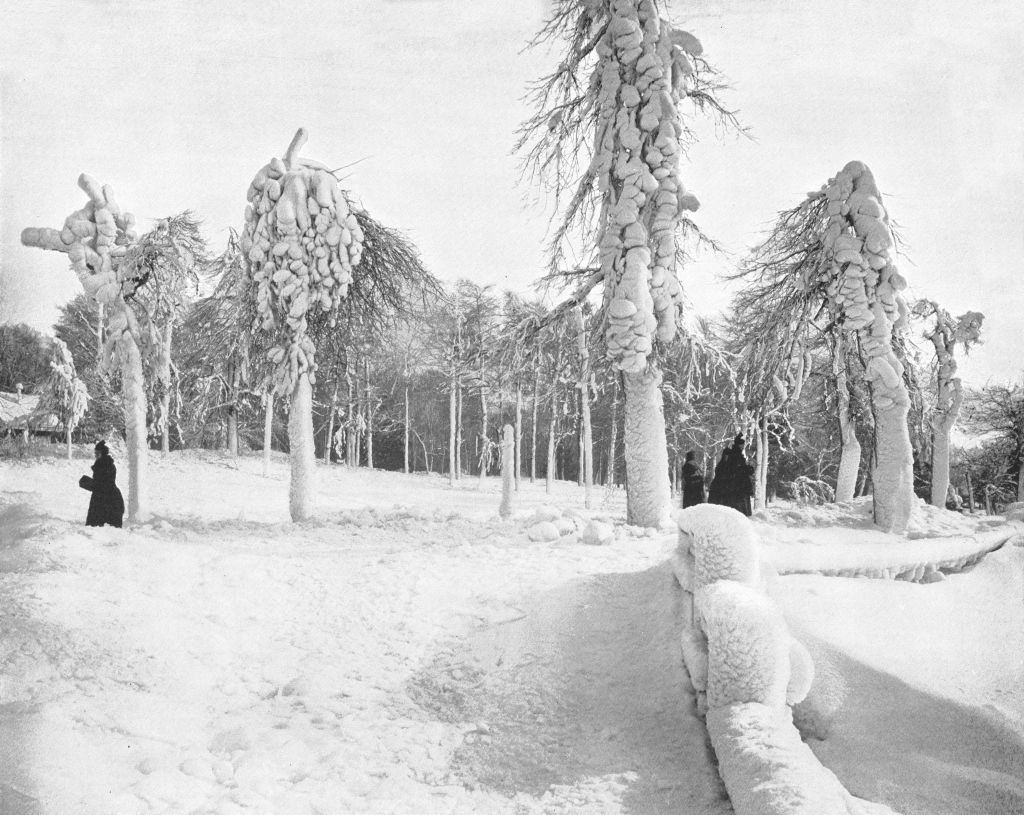 Frost Work In Prospect Park, 1900s.