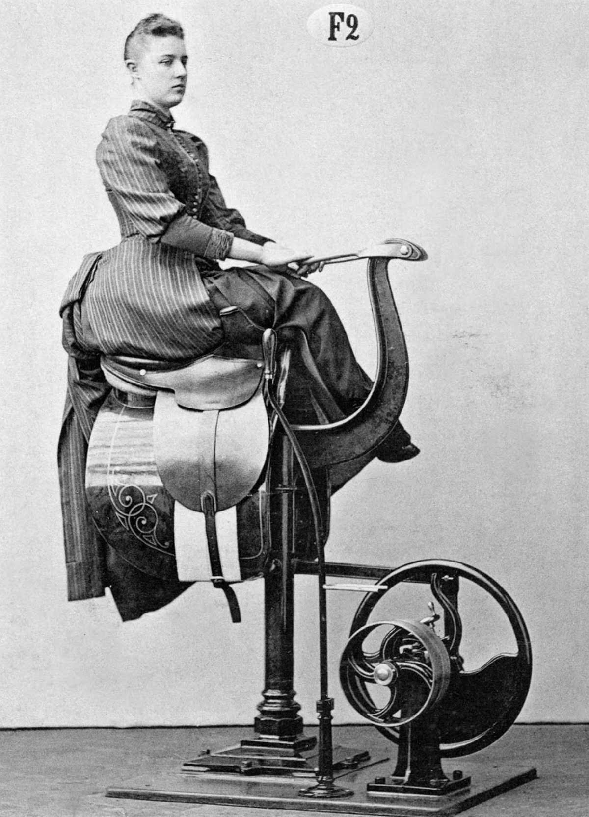 For those who are unable – or who don’t dare – to get up on horseback, this apparatus vibrates the rider’s body.