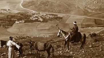 Holy Land mountains