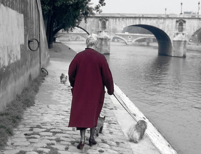 The Seine