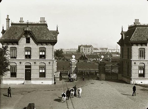 Veemarkt, 1890