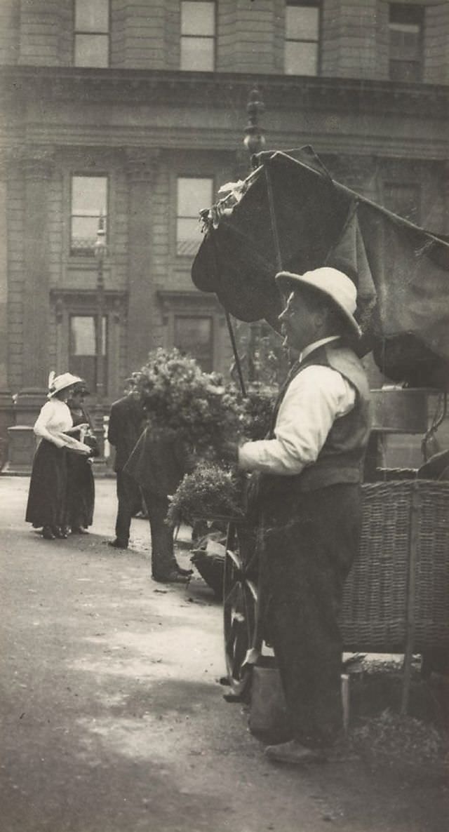 Flower seller, Macquarie Place, circa 1910s