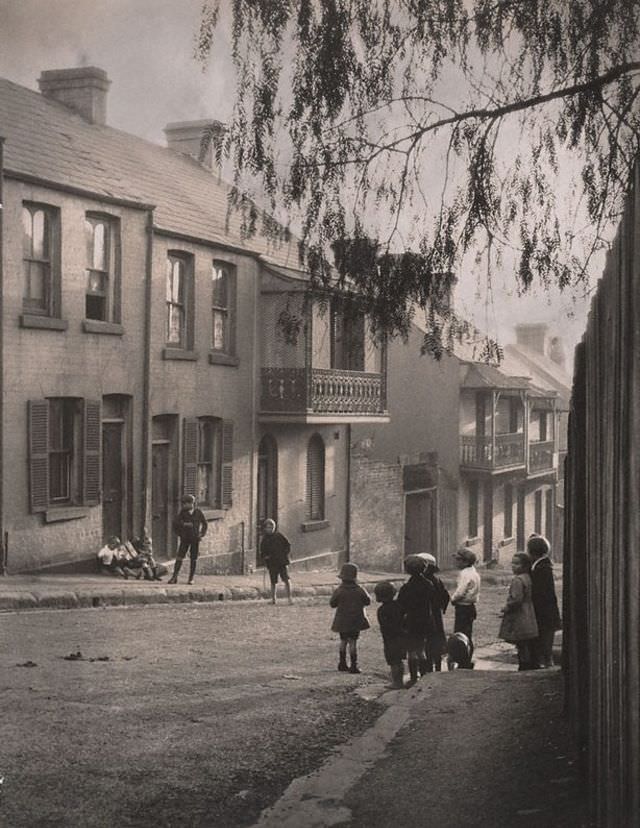 A Surry Hills alleyway, 1911