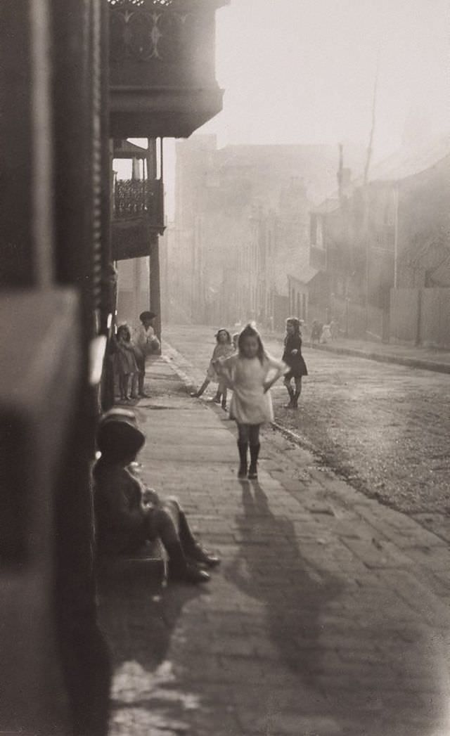 Albion Street, Surry Hills, 1911