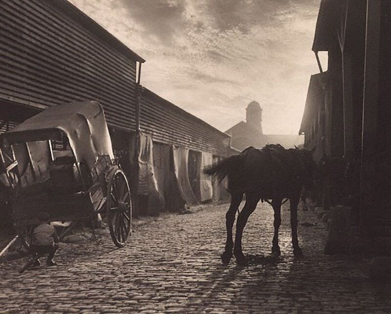 Paddy's Market, 1906