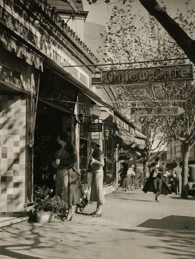 Darlinghurst Rd, 1933
