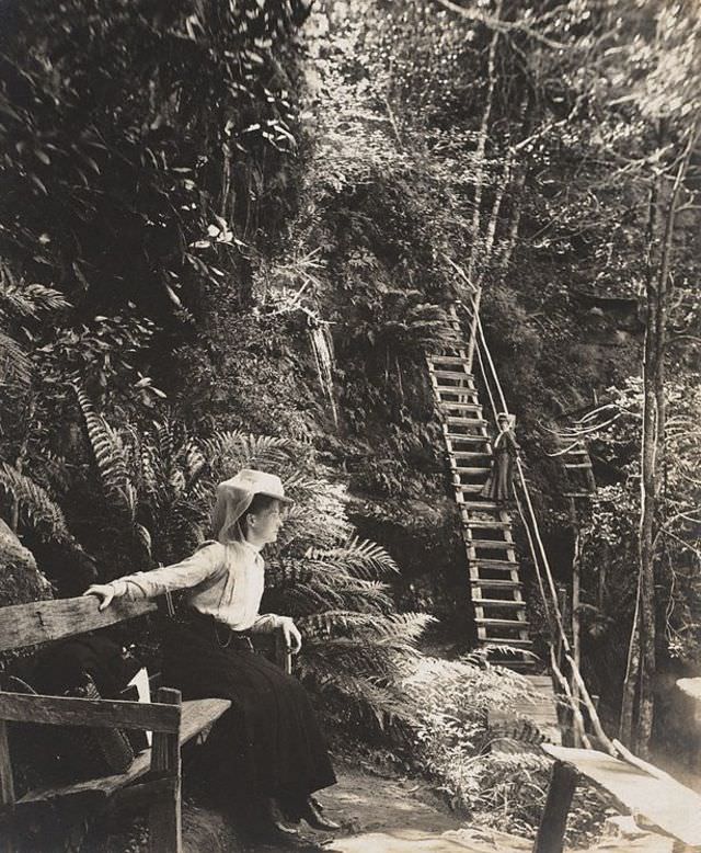 Mountain scene, Katoomba, 1908