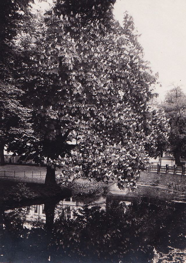 Poppelsdorf, Melbweiher, May 17, 1931