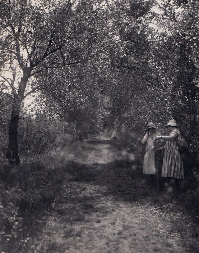 Somewhere between Bonn and Cologne, May 24, 1931