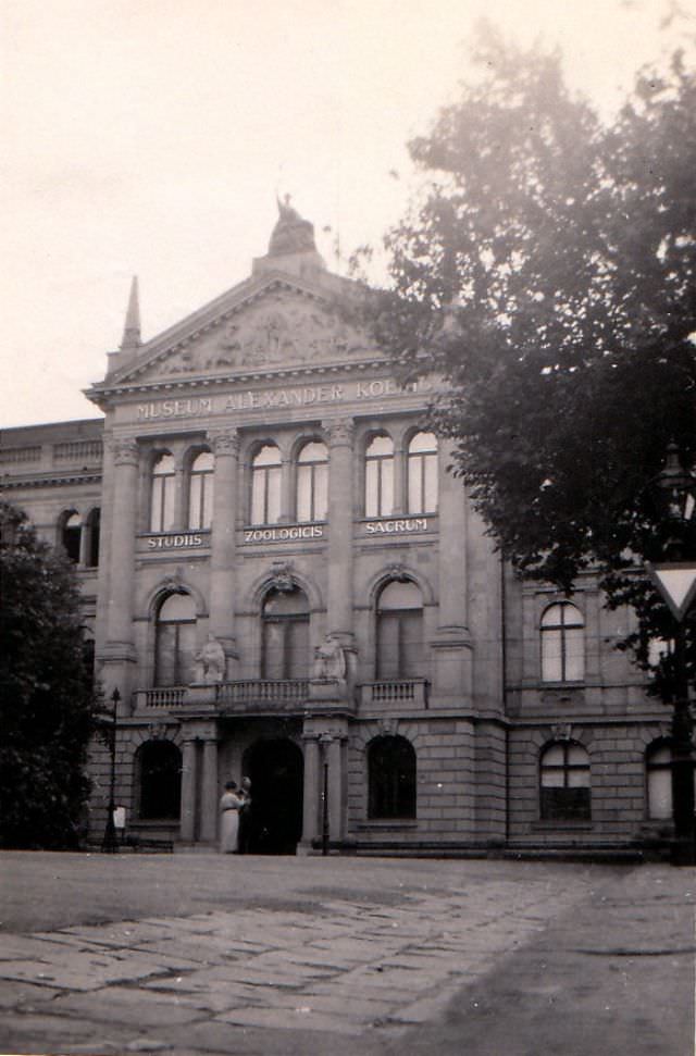 Museum König, July 22, 1937