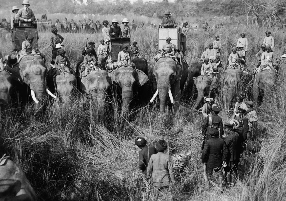 King George V (center right) inspects a killed tiger from atop an elephant.