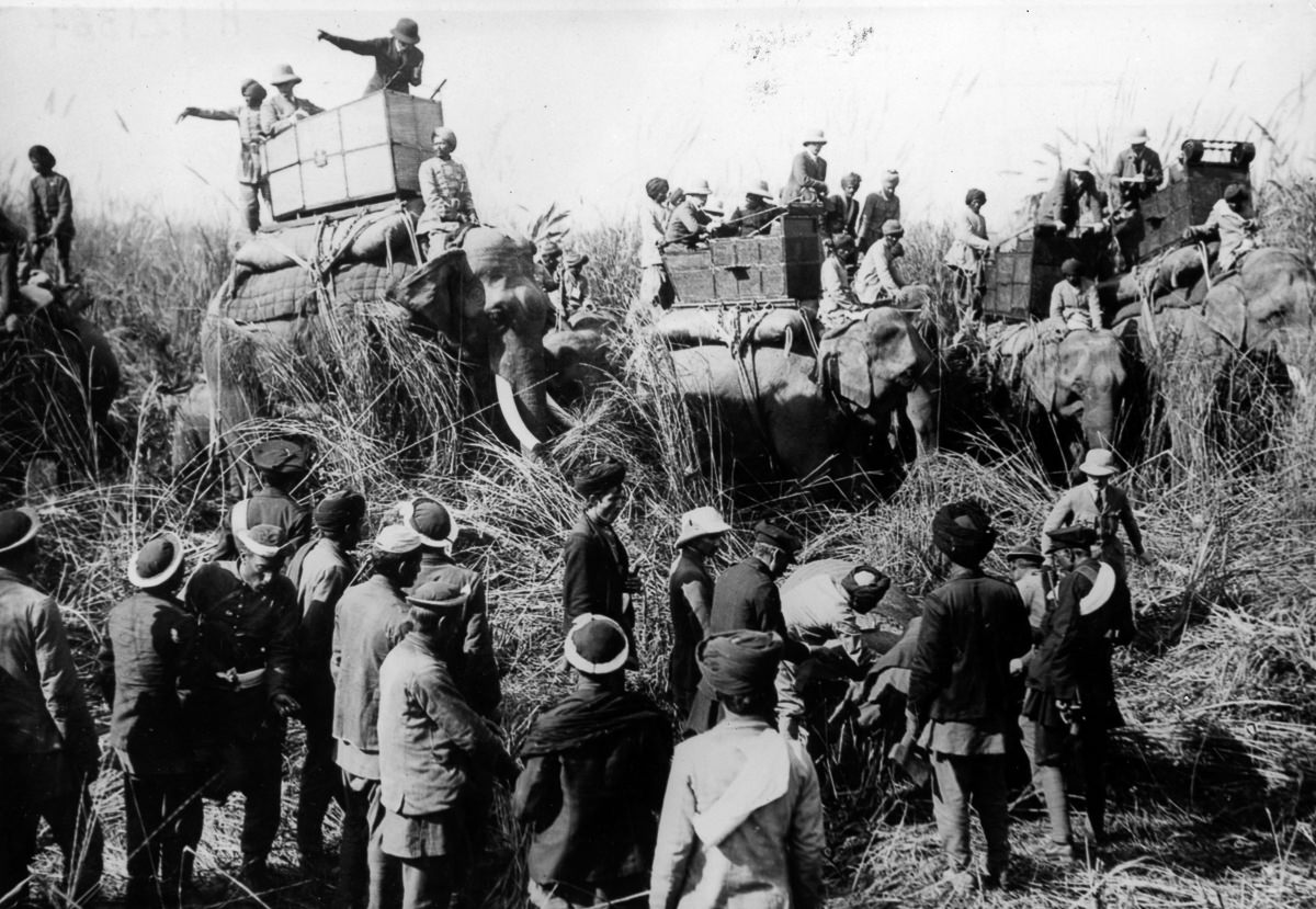 The hunting party surrounds a dead rhinoceros.