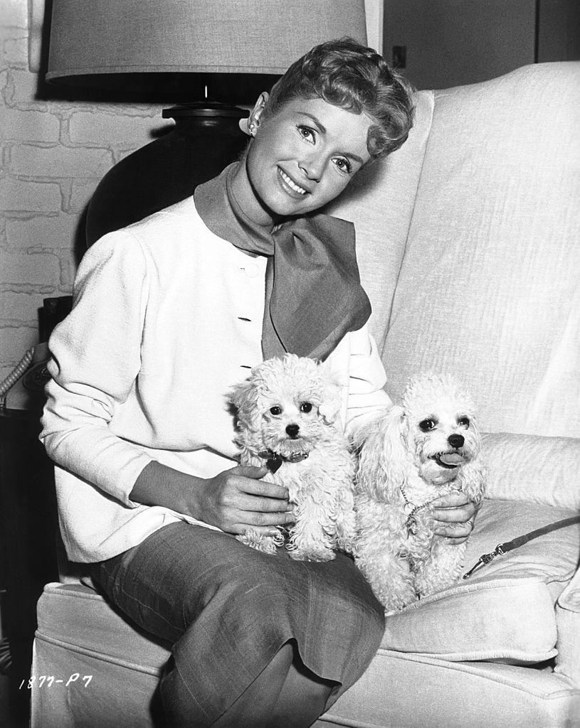 Debbie Reynolds with puppies, 1955.