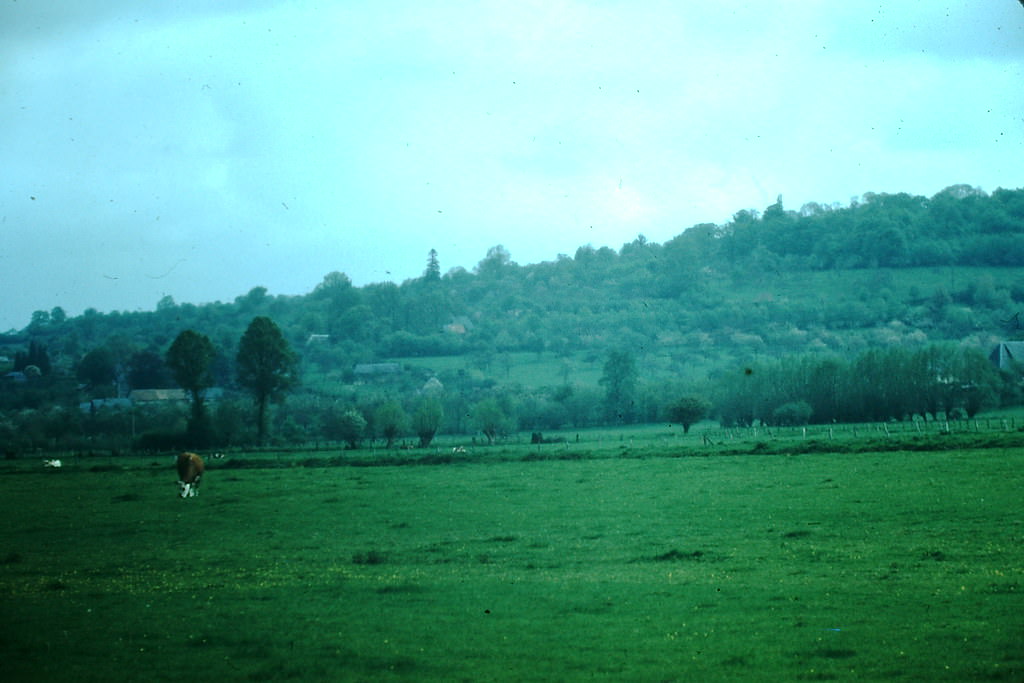 Normandy, France, 1954