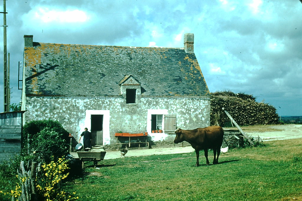 Farm near Guerande, Brittany, France, 1954