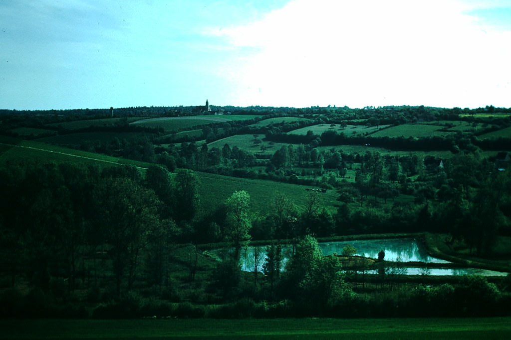 Cattle Country Near Chartres, France, 1954