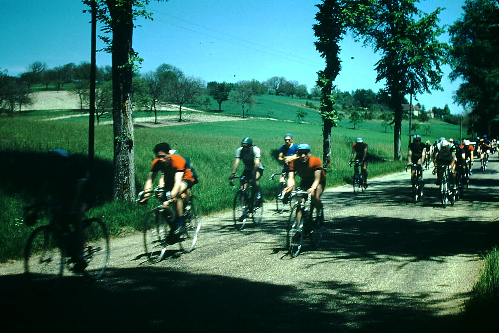 Bicycle Race in Loire, France, 1954
