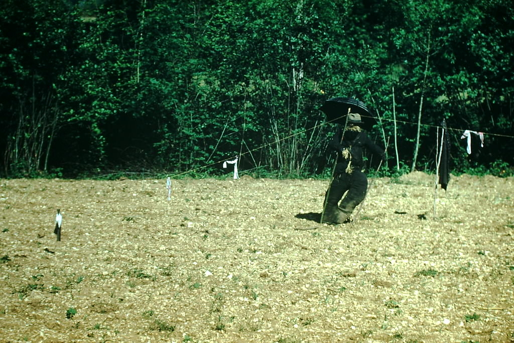 French Scarecrow, Dordogne, France