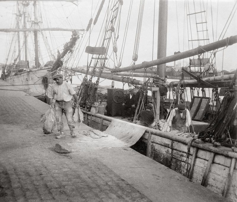 Unloading cods, Saint-Malo, circa 1910