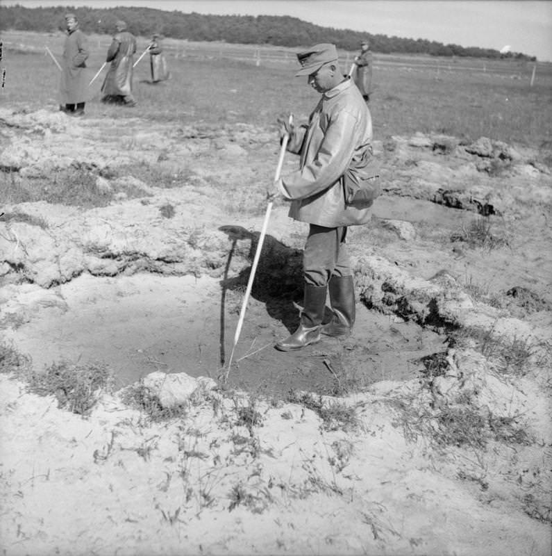 A German prisoner engaged in clearing a minefield near Stavanger probes for mines in a crater.