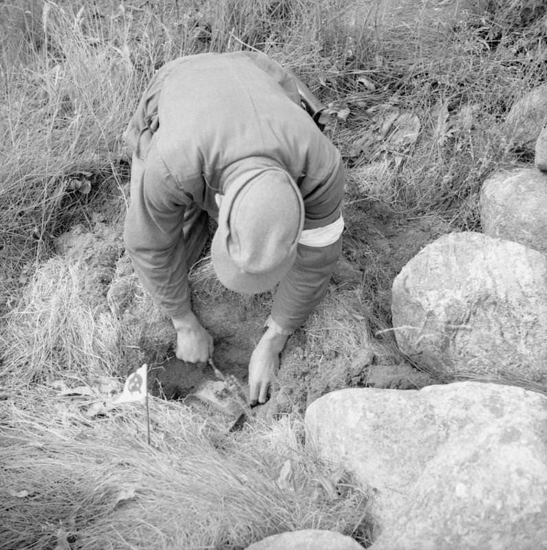 A German prisoner engaged in mine clearance duties near Stavanger unearths an anti-personnel mine.