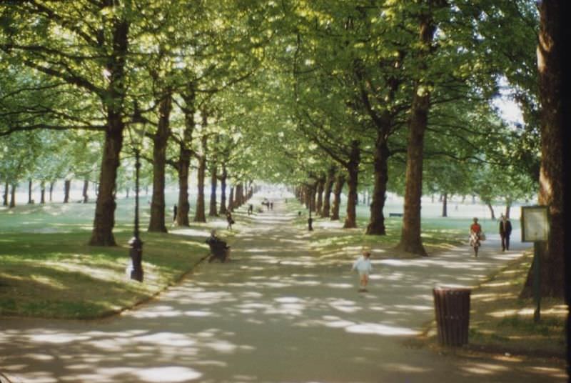 Green Park shaded walks.
