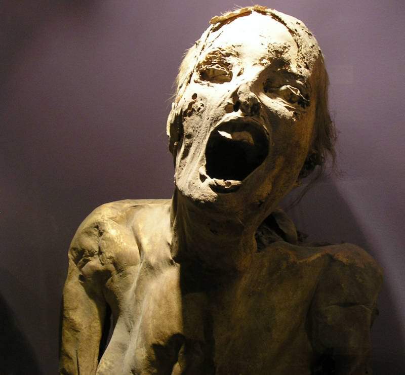 One of the Guanajuato mummies on display at the Museum of the Mummies in Guanajuato, Mexico.