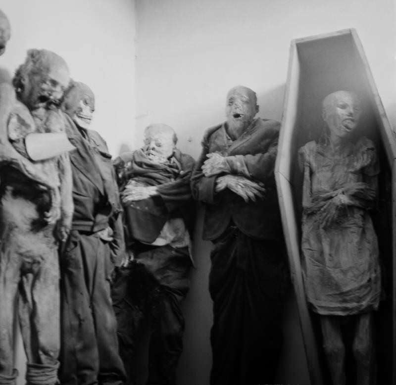 A view of some of the Guanajuato mummies, 1952.